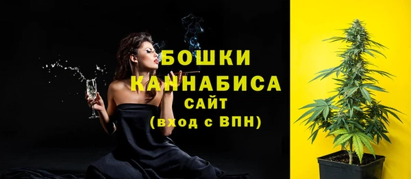 дмт Бородино