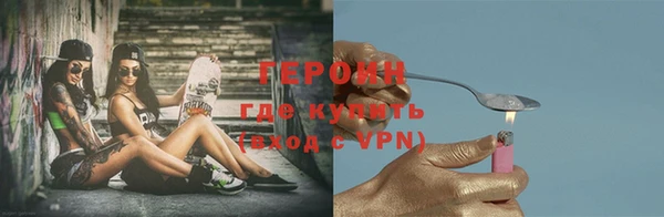 индика Богородицк
