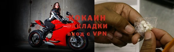 стаф Сосновка