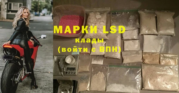 дмт Бородино