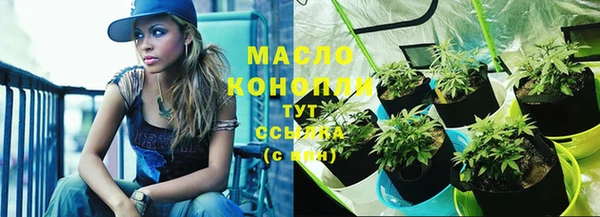 крисы Бугульма