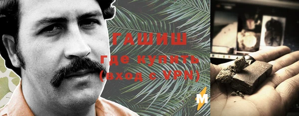 дмт Бородино