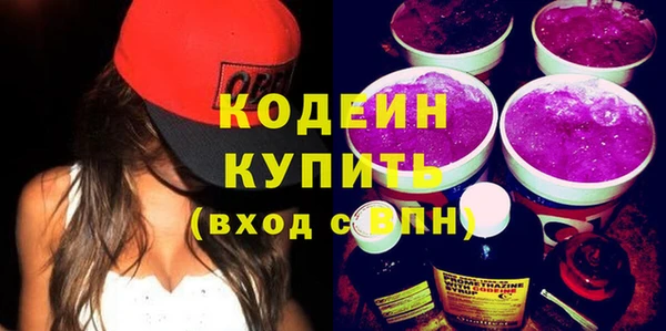 дмт Бородино