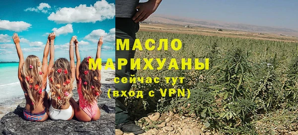 дмт Бородино