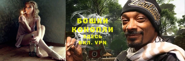 крисы Бугульма