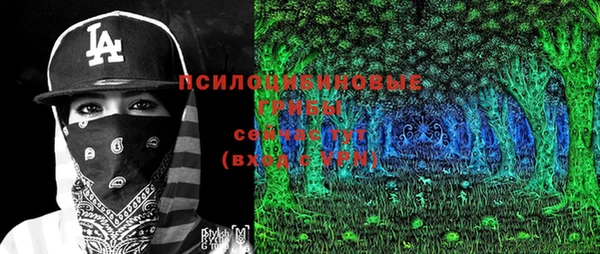 дмт Бородино