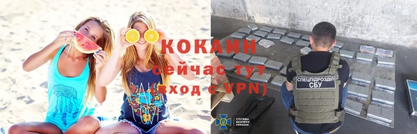 дмт Бородино