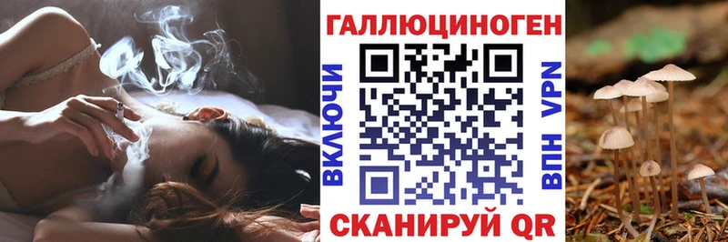 Галлюциногенные грибы мицелий  ссылка на мегу ссылка  Галич 